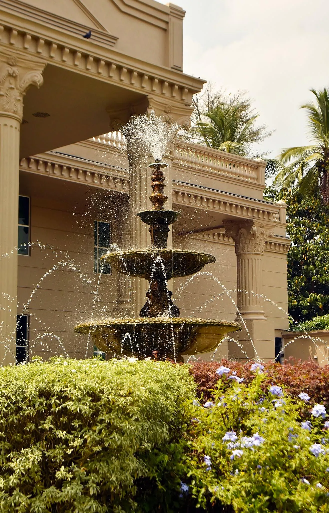 The tiered fountain before the portico, framed by flowering shrubs